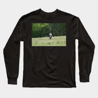 Wild Horse Long Sleeve T-Shirt
